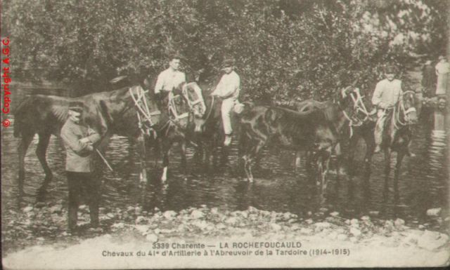 Chevaux a l abreuvoir dans la Tardoire en 1914-1915.jpg